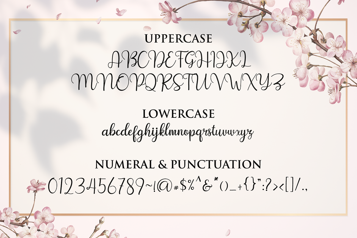 Helena Sweety - Lovely Script preview 7