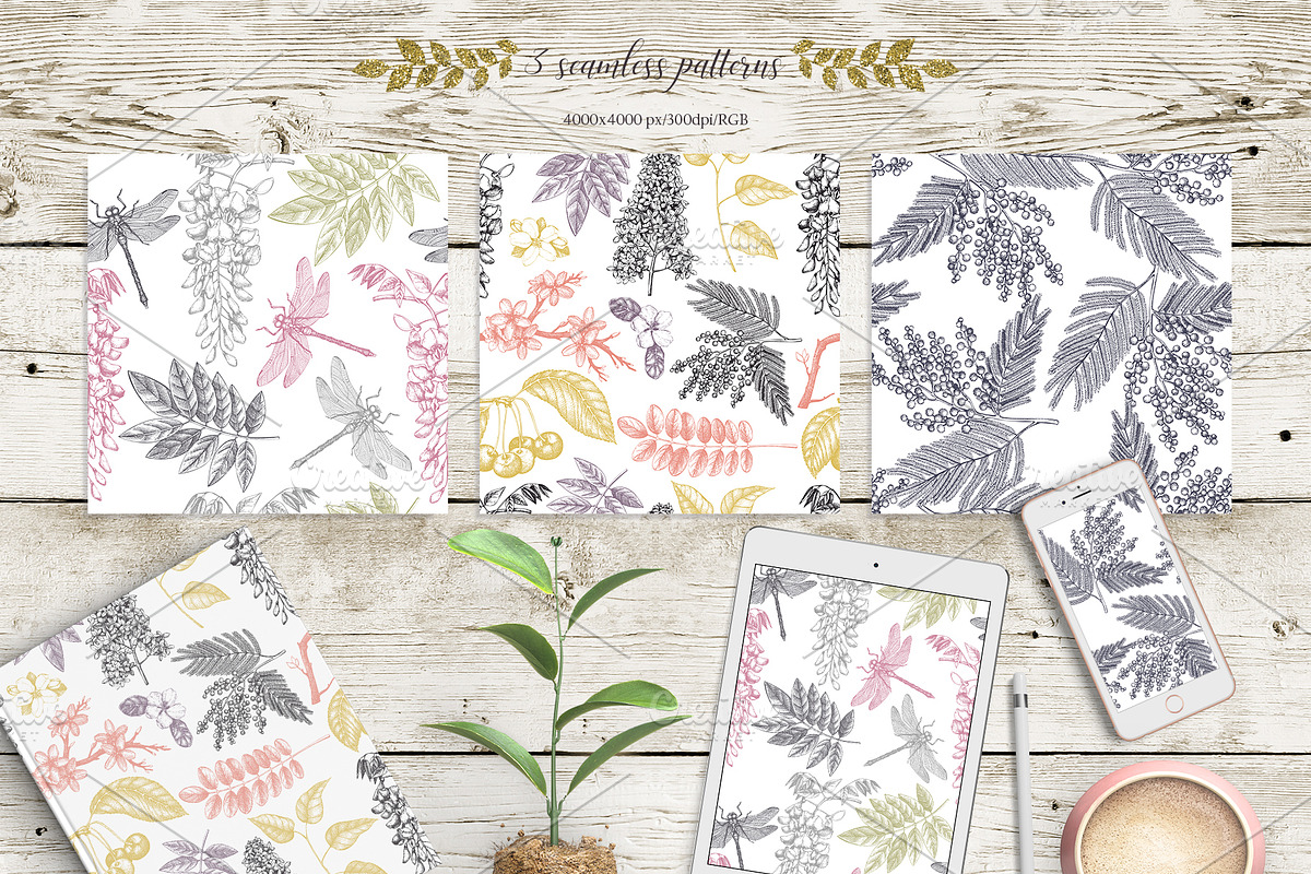 Garden trees sketches. Floral vector, a Decorative Illustration by Yevheniia (Photo 8 of 9)