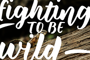 Wild Creatures brush font family, a Font by Ana's Fonts (Thumbnail 5 of 6)