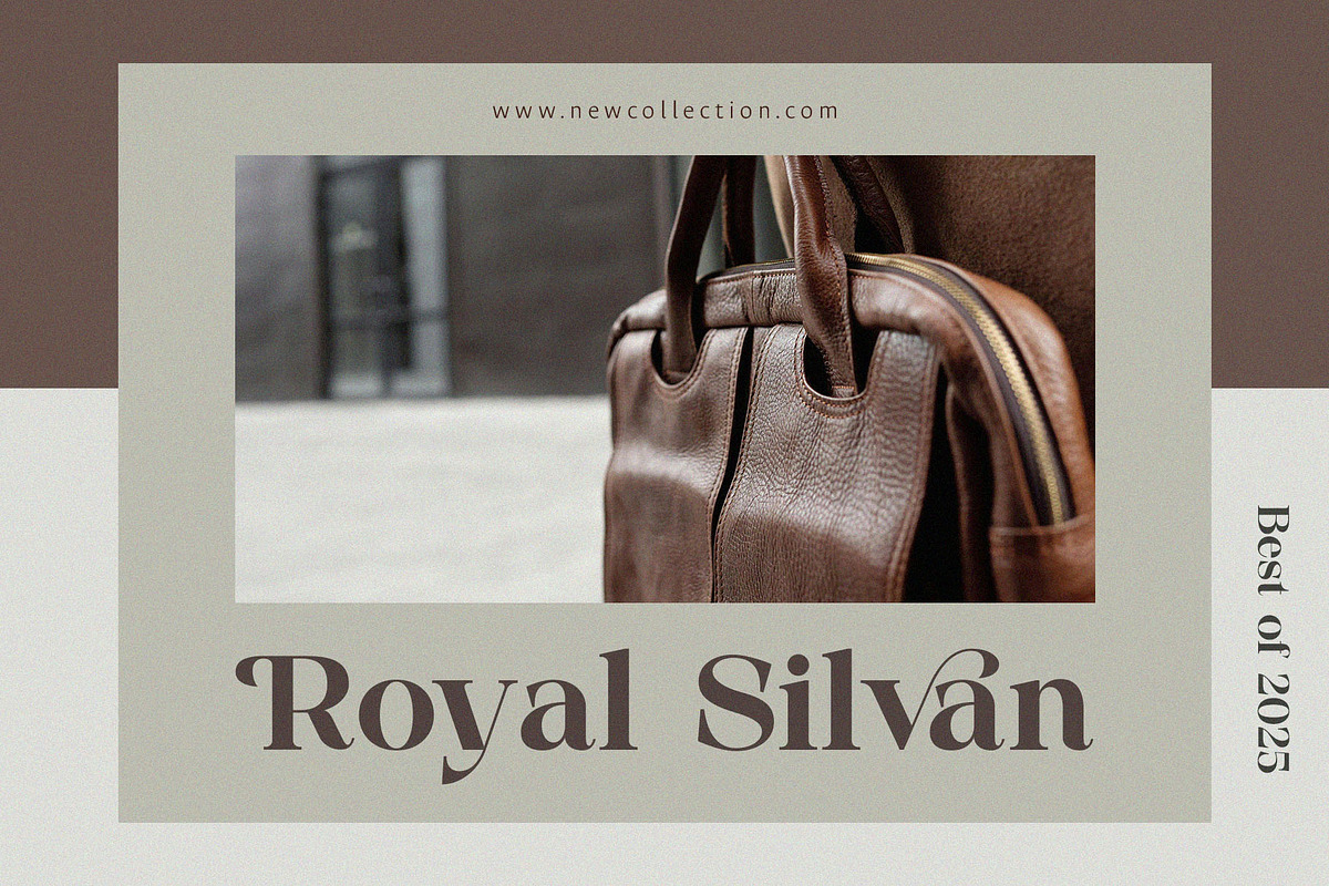 Silneva – Elegant Display Serif Font, a Serif Font by BrandSemut (Photo 3 of 9)