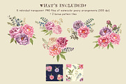 Watercolor Peonies & Foliage, an Illustration by Cynthia Arre (Thumbnail 7 of 7)