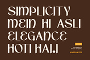 Narvaya Modern Hindi Style Font, a Sans Serif Font by Vadovastd (Thumbnail 7 of 9)