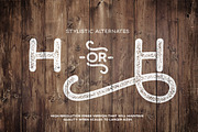 Bosk Hand, a Font by Arkitype (Thumbnail 7 of 8)