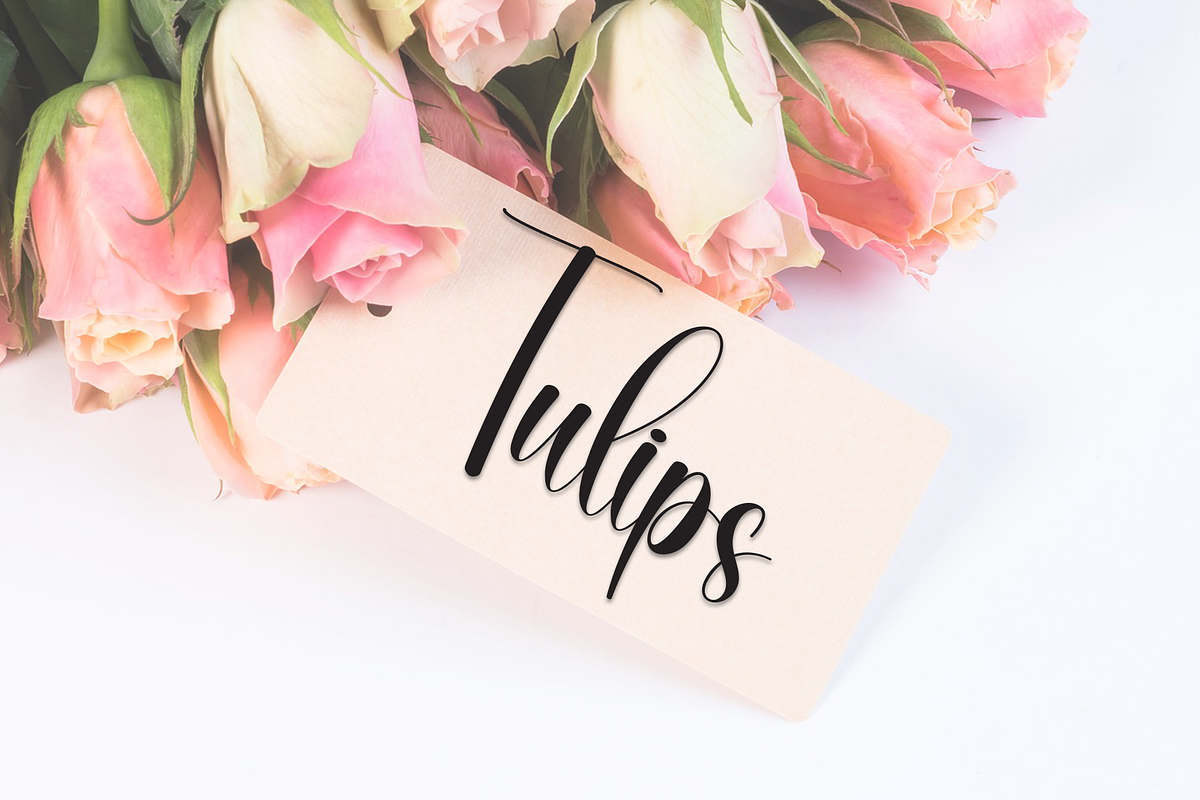 Youngish | Script Font, a Handwritten Font by Scratchones (Photo 5 of 9)