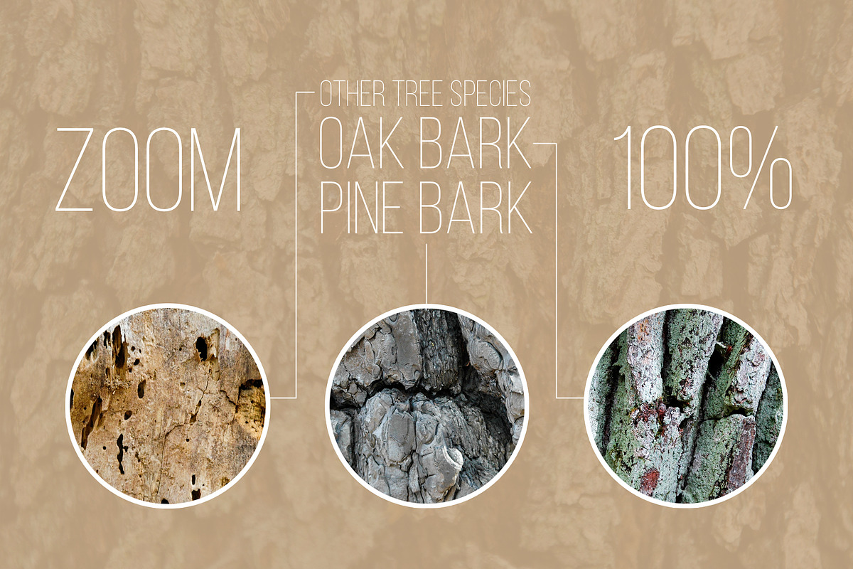 Woody Bark Textures, a Texture Graphic by Norse Moss (Photo 3 of 8)
