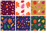 Autumn playful collection, a Seasonal Illustration by MoleskoStudio (Thumbnail 16 of 16)