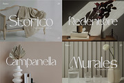 Modern Serif & Sans Serif Bundle, a Serif Font by Flawless And Co (Thumbnail 2 of 12)
