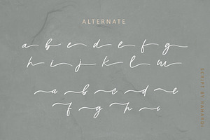 Austria Font Beautiful Handwritten