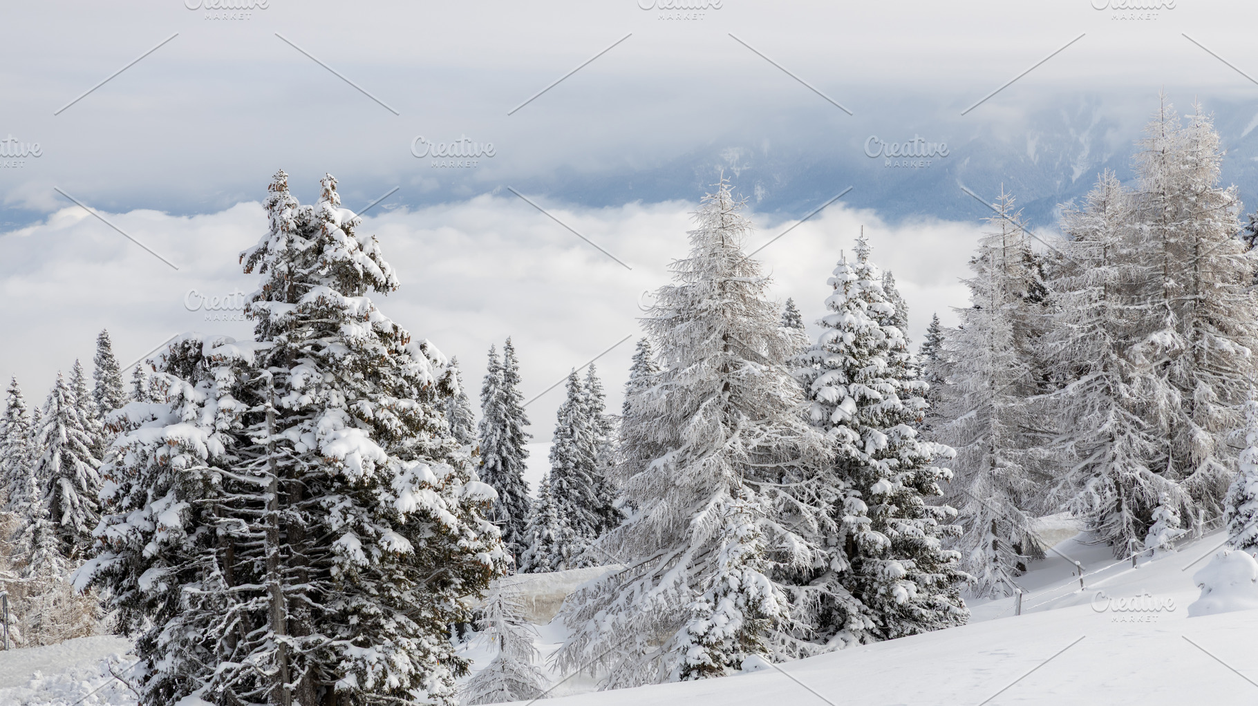 Austrian Alps and forest in snow, a Nature Photo by Photo Kaminski