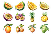 Tropical Fruit Clipart, an Illustration by Design Market (Thumbnail 2 of 3)