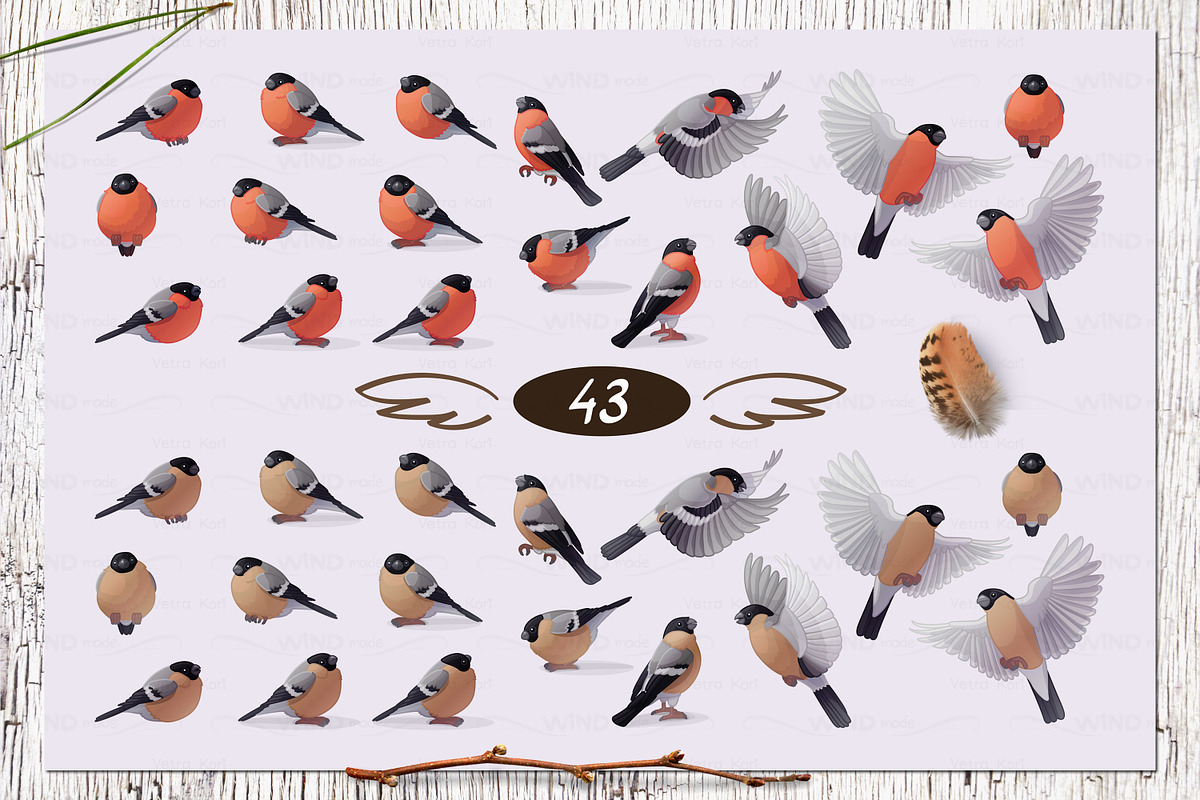vector SET Winter Forest, an Animal Illustration by WINDmade (Photo 10 of 19)