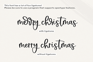 Sugarberry Handwritten Script Font