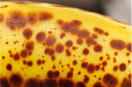 Detailed view of a ripe banana with