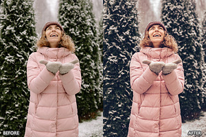 Winter Snow Lightroom Presets