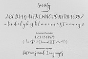 Society Calligraphy Modern, a Script Font by Teweka (Thumbnail 8 of 9)