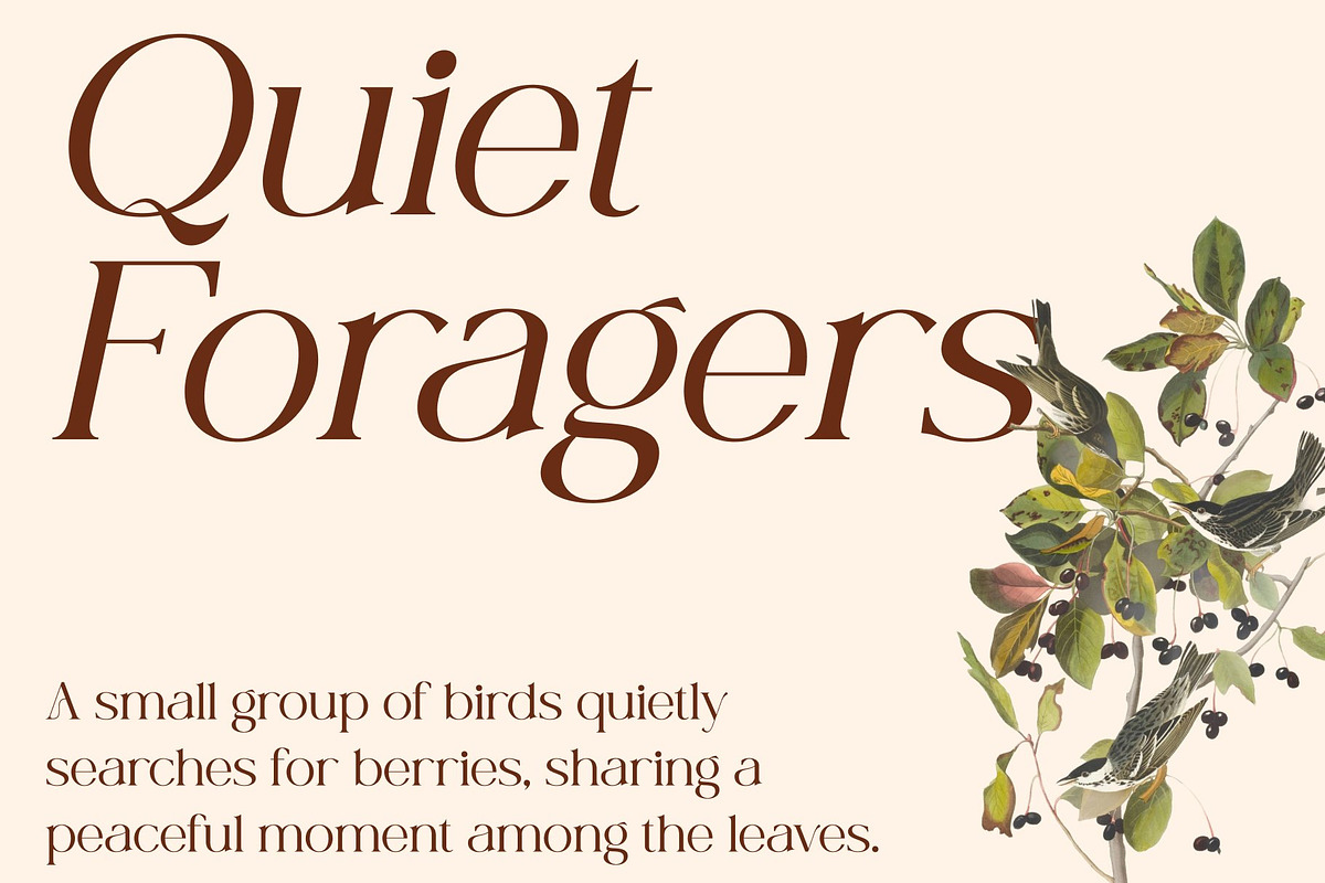 CS Nevada – Art Nouveau Font, a Serif Font by Craft Supply Co. (Photo 5 of 8)