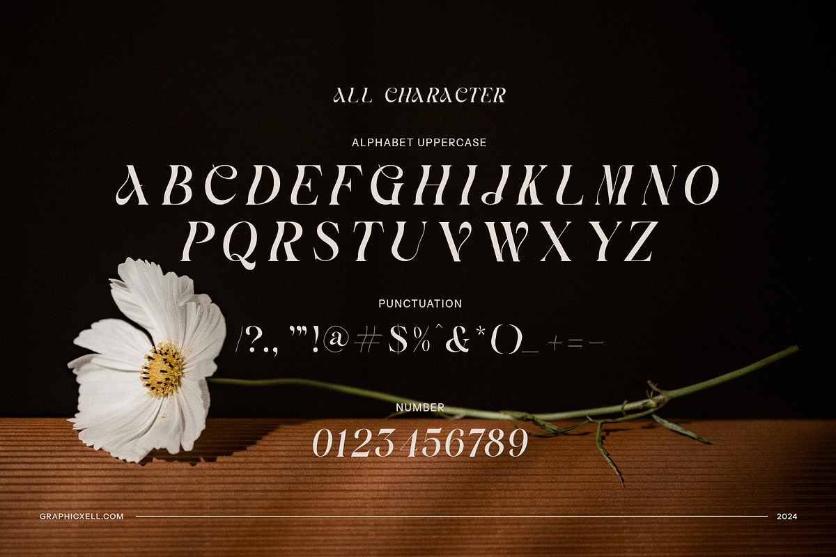 Avonte - Elegant Serif Font, a Serif Font by Graphicxell (Photo 8 of 8)