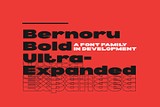 Bernoru Sans Font Family, a Sans Serif Font by grahampaterson (Thumbnail 11 of 14)