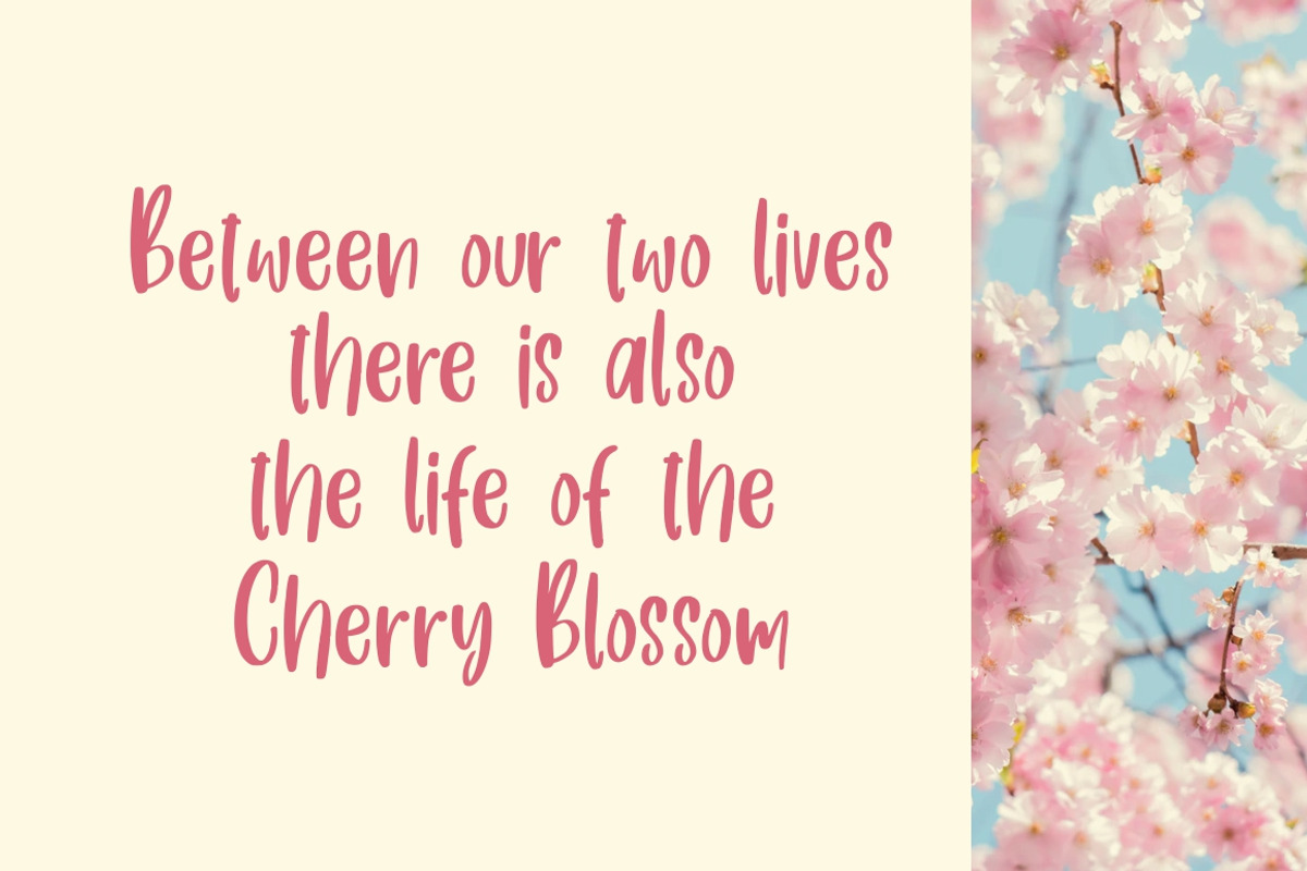 Fresh Love | Handwritten Font preview 5