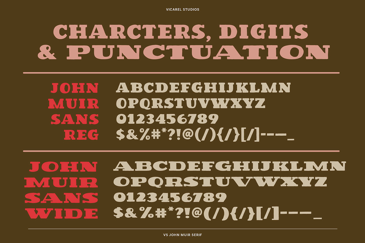 VS John Muir Serif Vintage Font, a Slab Serif Font by Vicarel Studios (Photo 12 of 12)