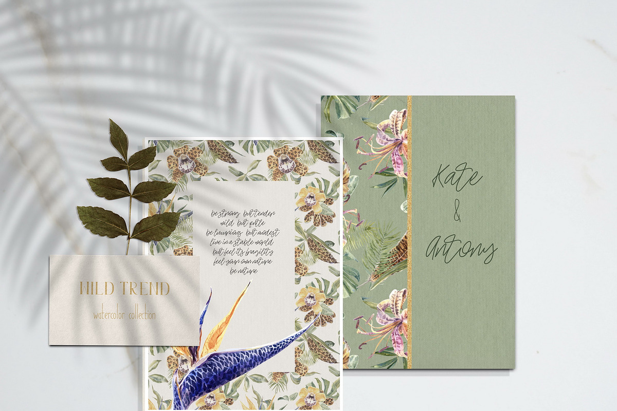 -40 Wild Trend Watercolor Collection, an Object Graphic by Cat In Colour (Photo 6 of 8)