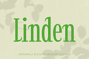 Linden - Elegant Decorative Serif, a Serif Font by OWPictures (Thumbnail 1 of 9)