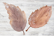 First snow Watercolor Clipart Set, an Object Illustration by Sha1nee (Thumbnail 5 of 5)