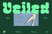 CS Rosbery Drawn, a Sans Serif Font by Craft Supply Co. (Thumbnail 3 of 8)