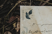 Watercolor Greenery Leaves, an Animal Illustration by WalaPalette (Thumbnail 9 of 9)