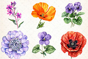 Watercolor Wild Flowers Clipart, an Illustration by DreamCafeArt (Thumbnail 3 of 7)