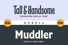 Display Fonts Bundle