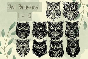 Procreate Owl Stamp Brushes