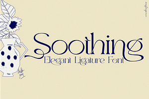 Aretha Bridge - Modern Serif Font