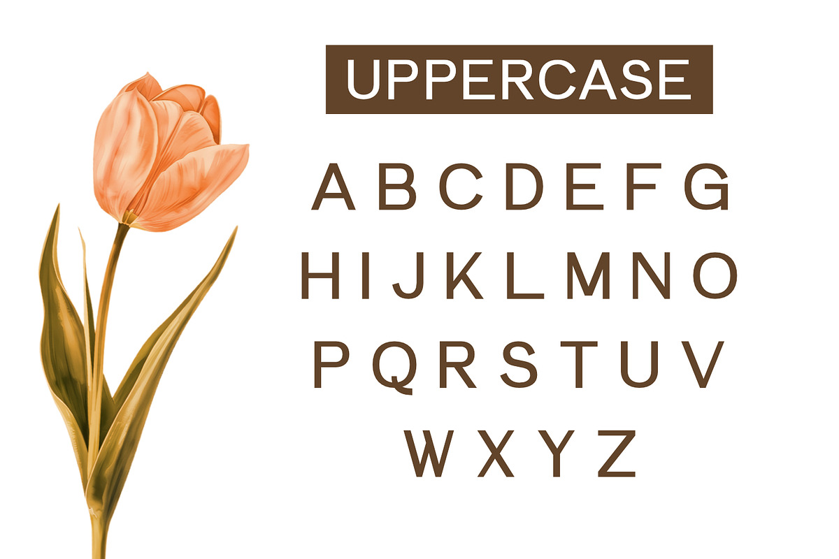 Elemendy, a Sans Serif Font by Rishsketch (Photo 6 of 12)