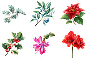 Watercolor Holiday Floral Clipart, an Illustration by DreamArtGraphic (Thumbnail 3 of 4)