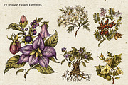 Poison Garden Witchcraft Clipart, an Object Illustration by Belusuab (Thumbnail 2 of 16)