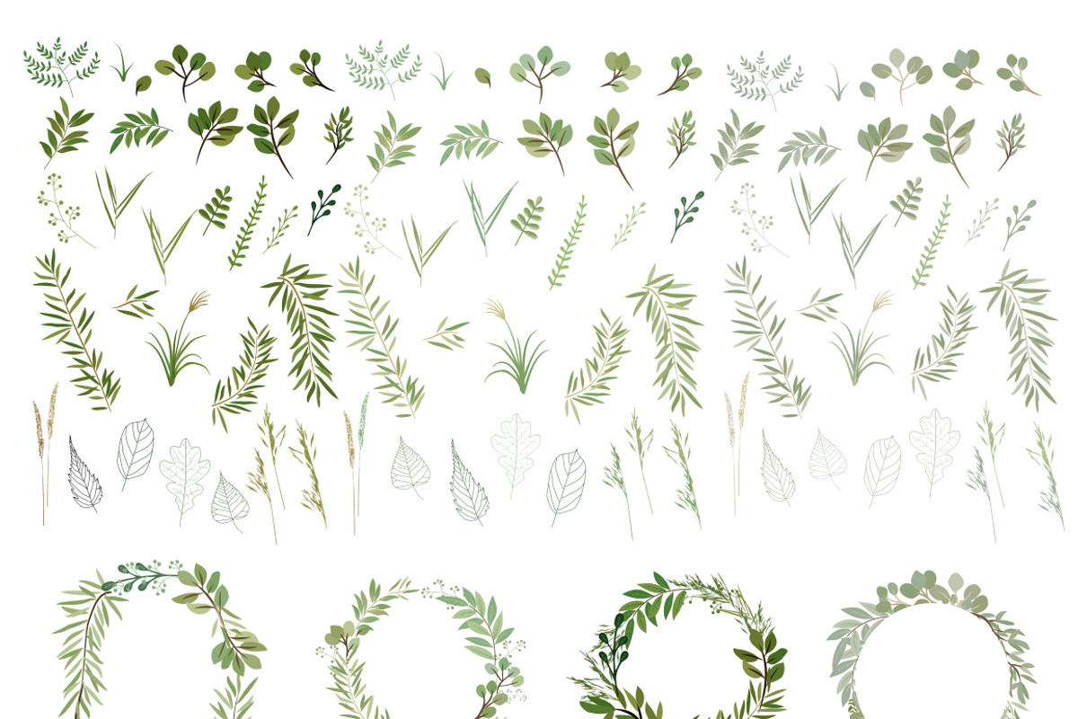 Leafy Green Botanical Clip Art, an Illustration by Kelly Jane Creative (Photo 3 of 3)