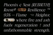 Chiston – Serif Typeface, a Serif Font by Craft Supply Co. (Thumbnail 3 of 8)