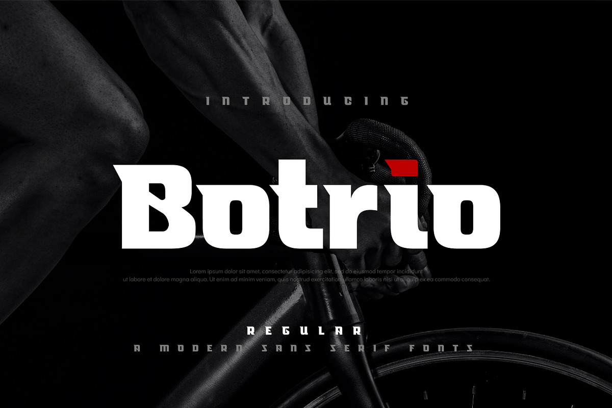 Botrio, a Sans Serif Font by geengraphy (Photo 1 of 4)