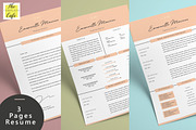 Clean Elegant Resume Template, a Resume Template by Rustype (Thumbnail 2 of 6)