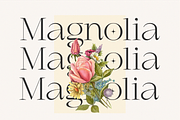 Marginal - A Modern Font, a Serif Font by zeenesia (Thumbnail 11 of 18)