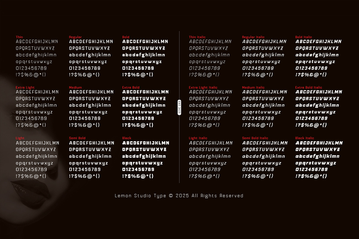Mazestic Sans, a Sans Serif Font by Lemon Studio Type (Photo 4 of 6)