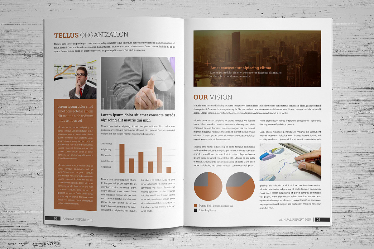 Annual Report Template V7, a Brochure Template by JanySultana (Photo 6 of 12)