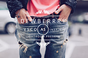 Desktop Lightroom Presets DEWBERRY, an Action Add-On by Victoria Bee Presets (Thumbnail 1 of 18)