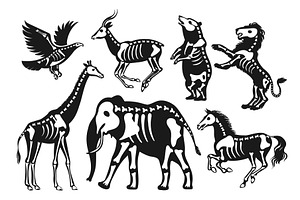 Animals with skeletons silhouettes, an Animal Illustration by YummyBuum