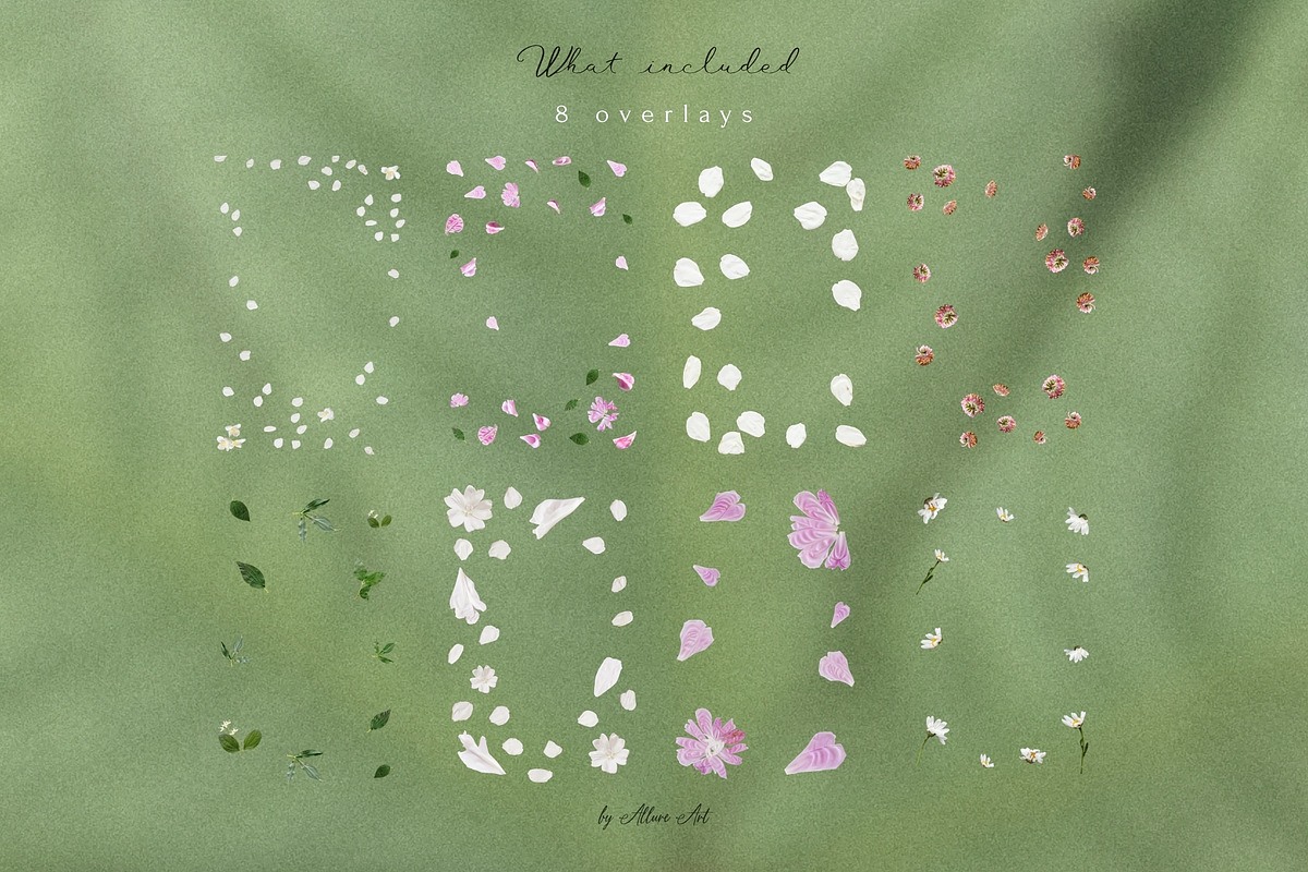 Petals Botanical Overlay Kit & Paper, an Object Graphic by Allure Art (Photo 7 of 22)