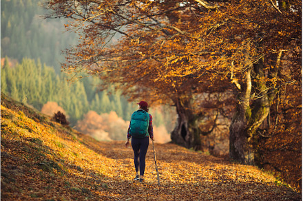 Female Hiker on Country Road Near
