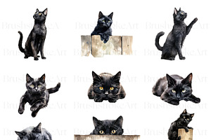 Watercolor Black Cat Clipart, Kitten