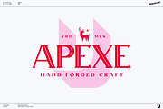 Apexe - Serif Font Family, a Serif Font by UppercapType (Thumbnail 9 of 13)