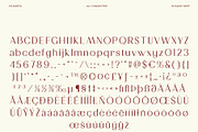CS Aureta – Elegant Sans Serif, a Sans Serif Font by Craft Supply Co. (Thumbnail 8 of 8)